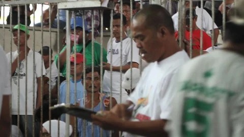 Cockfighting Stock Footage 106458356