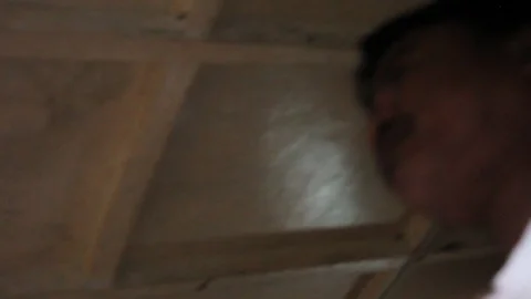 Cockfighting Video stock 106458596