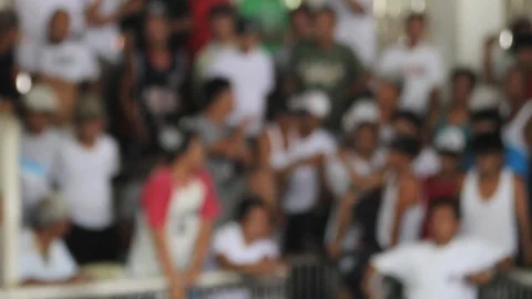 Cockfighting Stock Footage 106458959