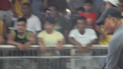 Cockfighting Stock Footage 106458978