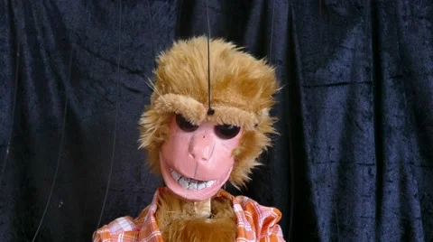 Cocking of mongky puppet Stock Footage 68023891