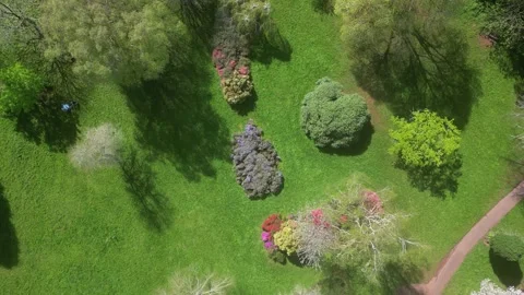 Cockington, South Devon, England: DRONE OVERHEAD VIEWS: Trees and Azaleas Stock Footage 272291266