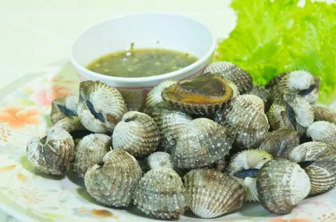 Cockle Stock Photos
