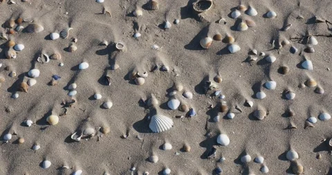Cockle shells on the beach at Roanhead, Cumbria, UK. 動画素材 240112058