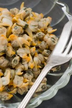 Cockles Stock Photos