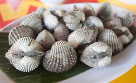 Cockles Stock Photos