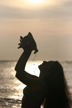 Cockleshell Stock Photos