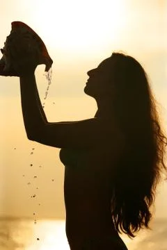 Cockleshell Stock Photos