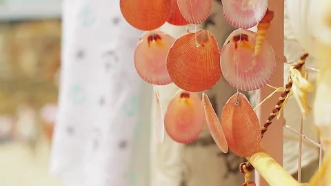 Cockleshells in decor 動画素材 78221018