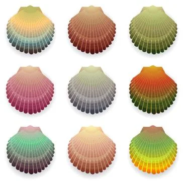Cockleshells Stock Illustration