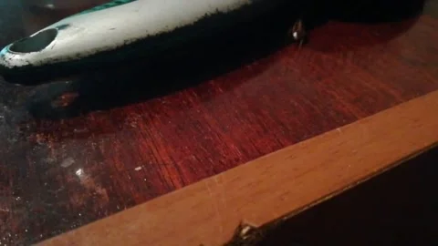 Cockroach after poisoning Stock Footage 136293318