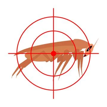 Cockroach and aim, target. Side view. Insect protection concept. Stock Illustration