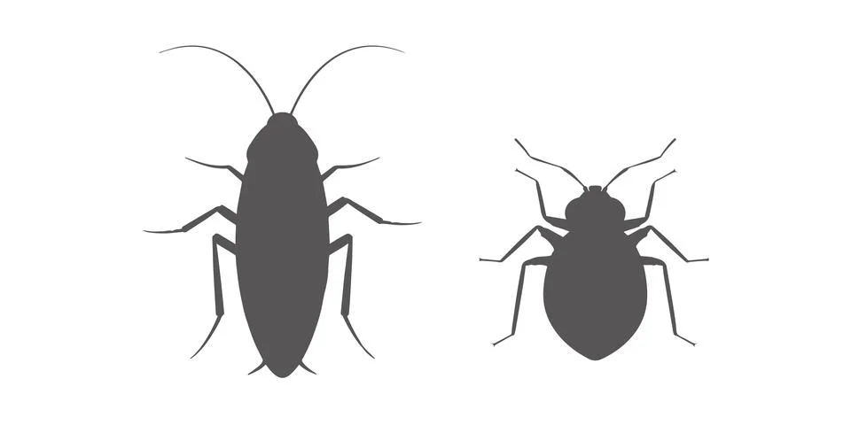 Cockroach bug and bedbug Stock Illustration