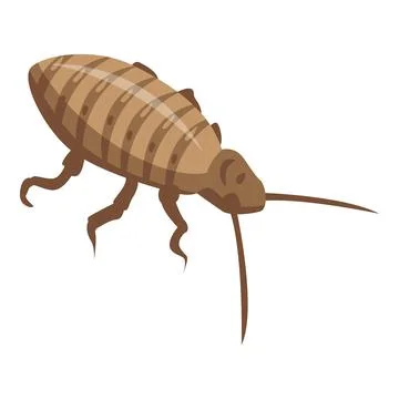 Cockroach bug icon, isometric style Stock Illustration