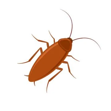 Cockroach bug vector icon. Roach silhouette insect black icon illustration pest. Stock Illustration