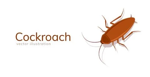 Cockroach bug vector icon. Roach silhouette insect black icon illustration pest. Stock Illustration
