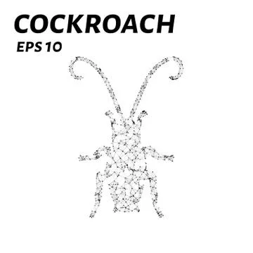 Cockroach consists of points, lines and triangles. The polygon shape in the.. Stock Illustration