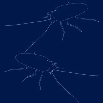 Cockroach contour, line style . Vector illustration Stock Illustration