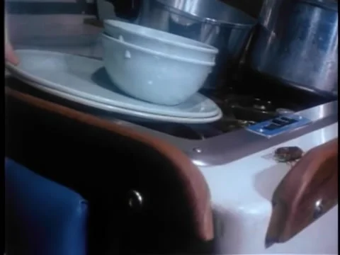 Cockroach crawling on top of stove Stock Footage 260255387