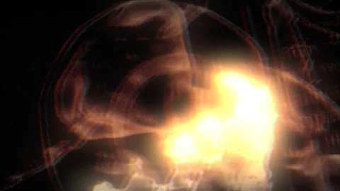 Cockroach Flash light  Stock Footage 72128190