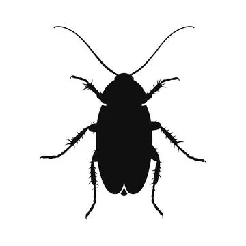 Cockroach Icon on White Background. Vector Stock Illustration