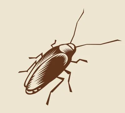 Cockroach Stock-Illustration