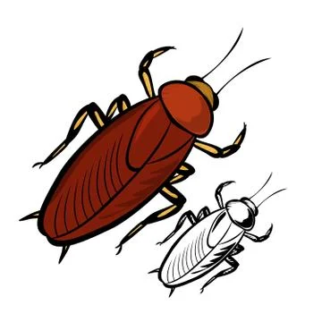 Cockroach Stock Illustration