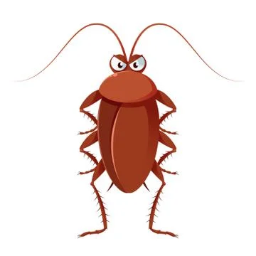 Cockroach Stock Illustration