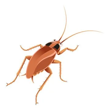 Cockroach Stock Illustration