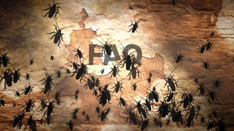 Cockroach Infestation on Damaged Wall with FAQ Text Concept Stock Footage 334079914