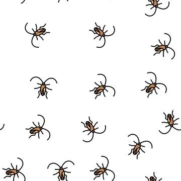 Cockroach insect vector seamless pattern Illustrazione stock