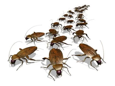 Cockroach Invasion Stock Illustration