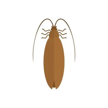 Cockroach isolated. Insect on white background. Beetle. Bug Vector illustrati Illustrazione stock