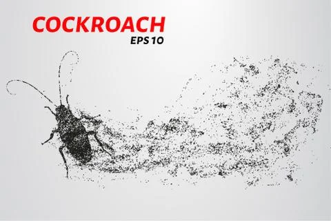 Cockroach particles. Cockroach consists of small circles and dots. Stock Illustration