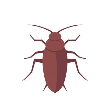 Cockroach, roach isolated on white, vector art Stock Illustration