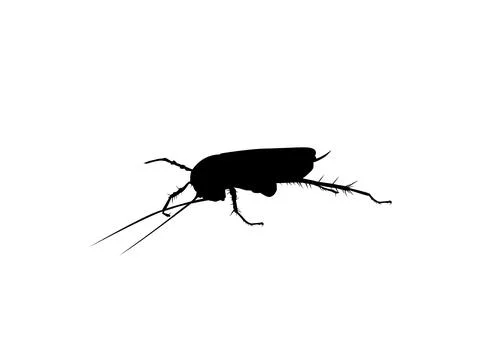Cockroach silhouette isolated, oval-shaped insect with long antennae Ilustración de archivo