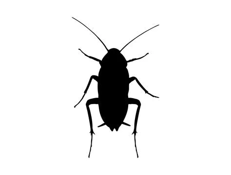 Cockroach silhouette vector art Stock Illustration