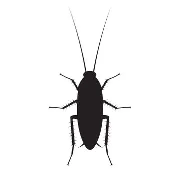Cockroach silhouette vector illustration isolated on a white background. Stock Illustration