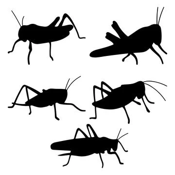 Cockroach silhouette vector for websites, graphics related artwork Stock Illustration