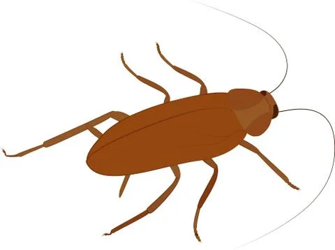 Cockroach vector icon. cartoon insect isolated on white Illustrazione stock