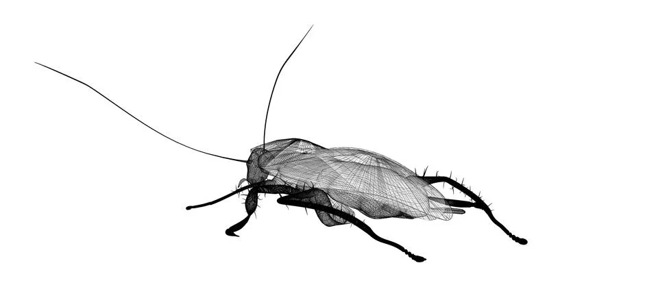 Cockroach in wire carcass Stock Illustration