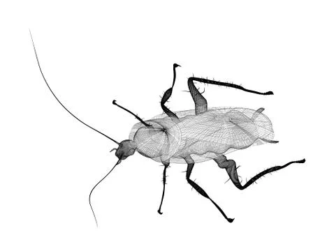 Cockroach in wire carcass Illustrazione stock