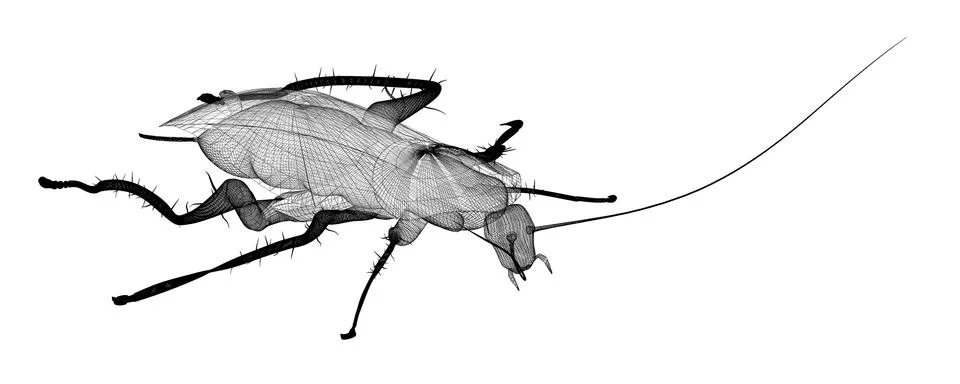 Cockroach in wire carcass Illustrazione stock