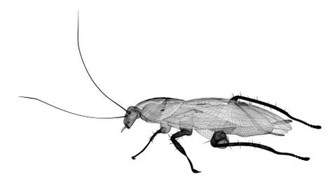 Cockroach in wire carcass Stock Illustration
