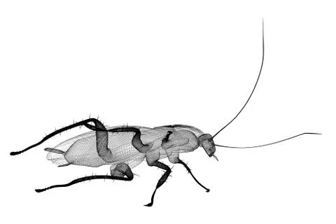 Cockroach in wire carcass 스톡 일러스트