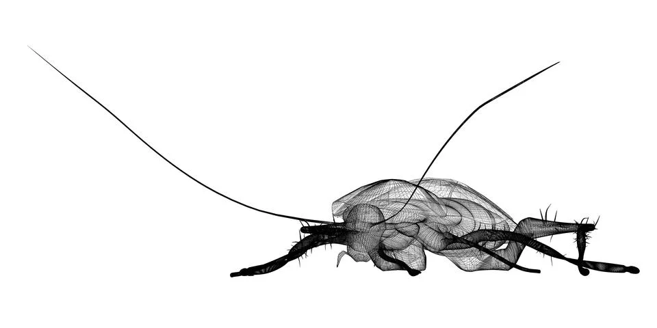 Cockroach in wire carcass Illustrazione stock