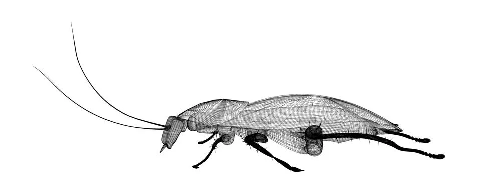 Cockroach in wire carcass 스톡 일러스트