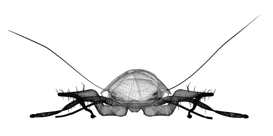 Cockroach in wire carcass Illustrazione stock
