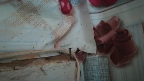 Cockroaches Stock Footage 136293151