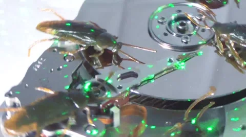 Cockroaches on hard drive Stock Footage 47416655